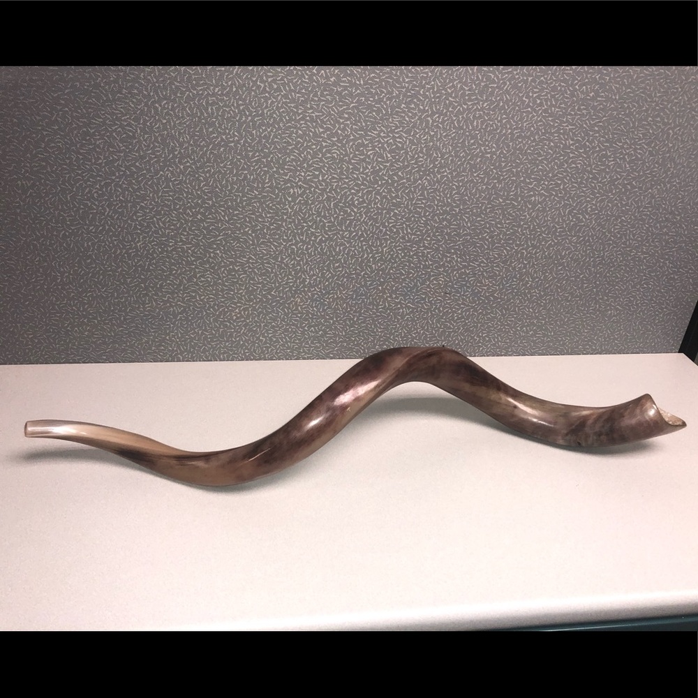 New Multi Brown Shofar
